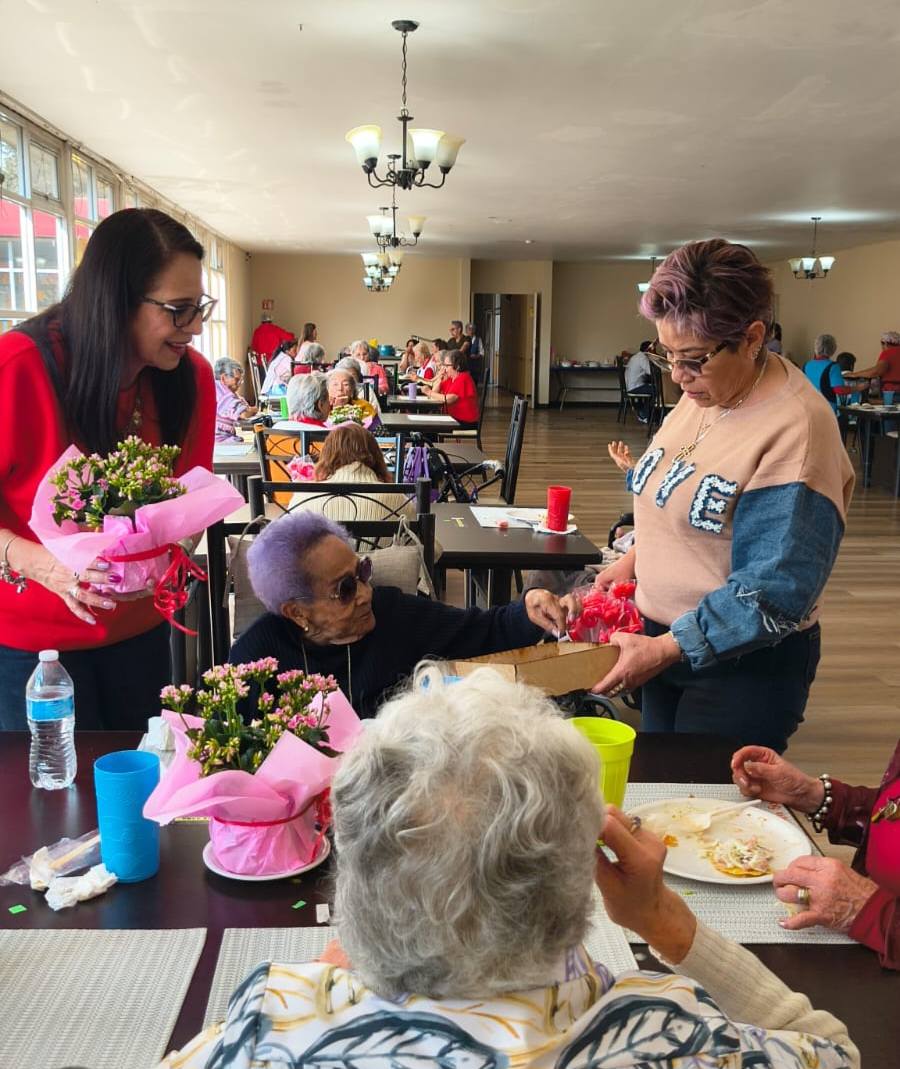 amor amistad 2026 vertical 3