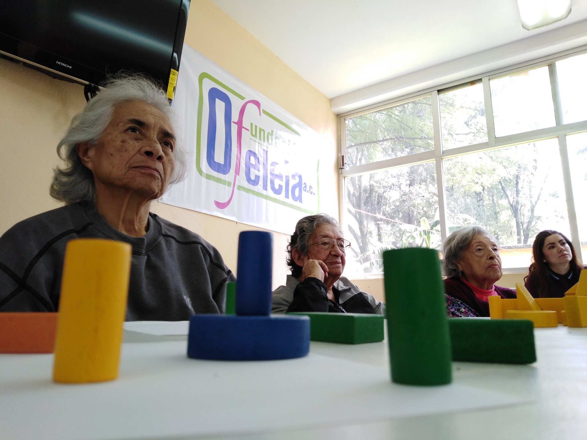 fundacion ofeleia 2