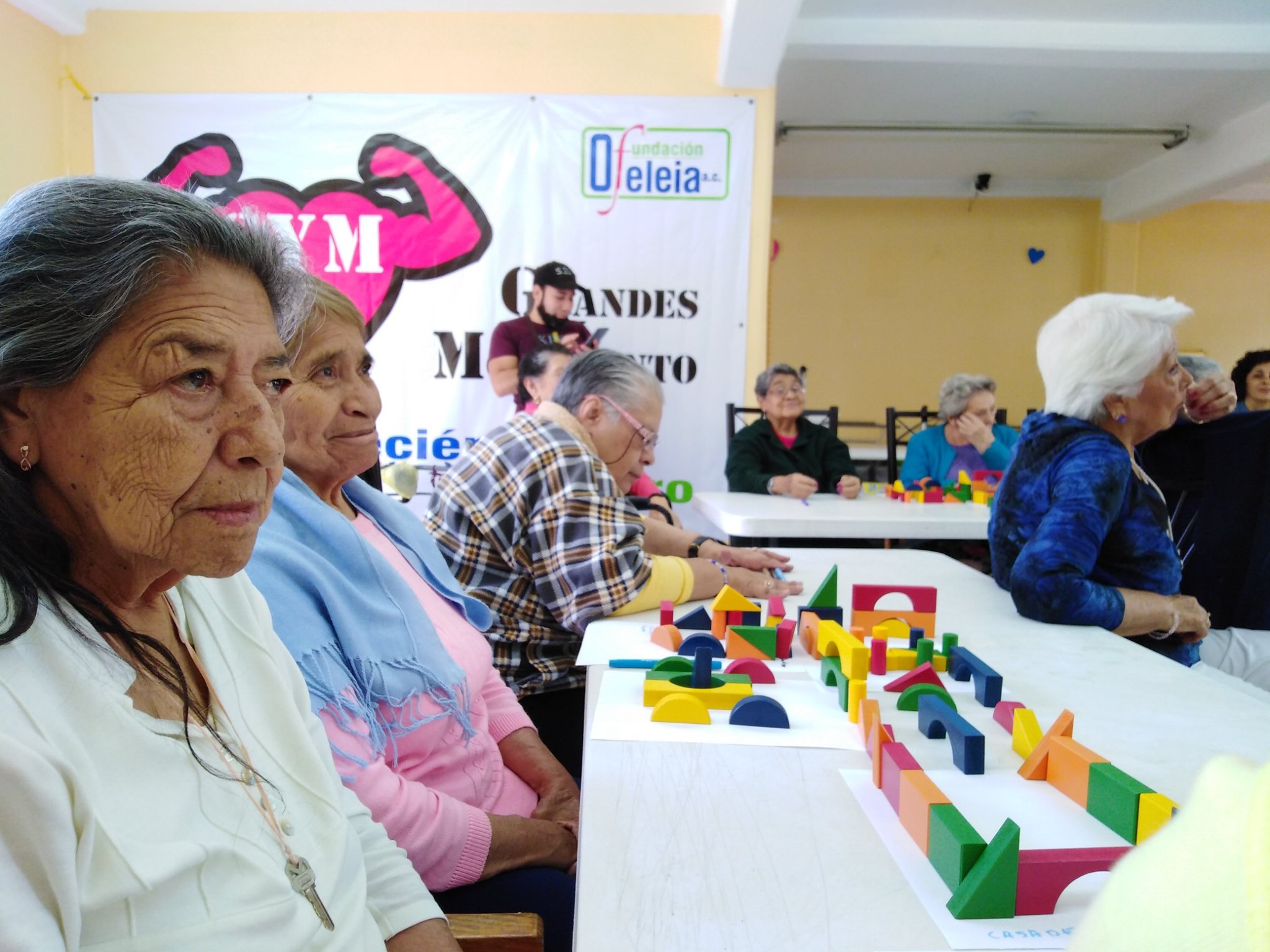 fundacion ofeleia 4