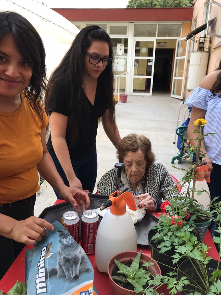 cultivando casa betti v 12