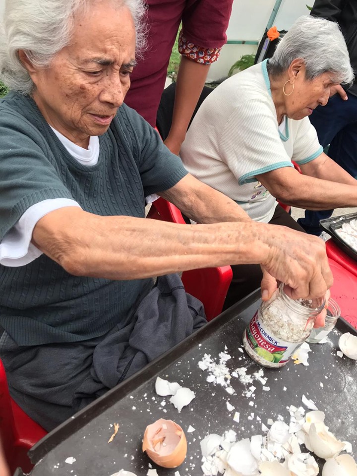 cultivando casa betti v 9